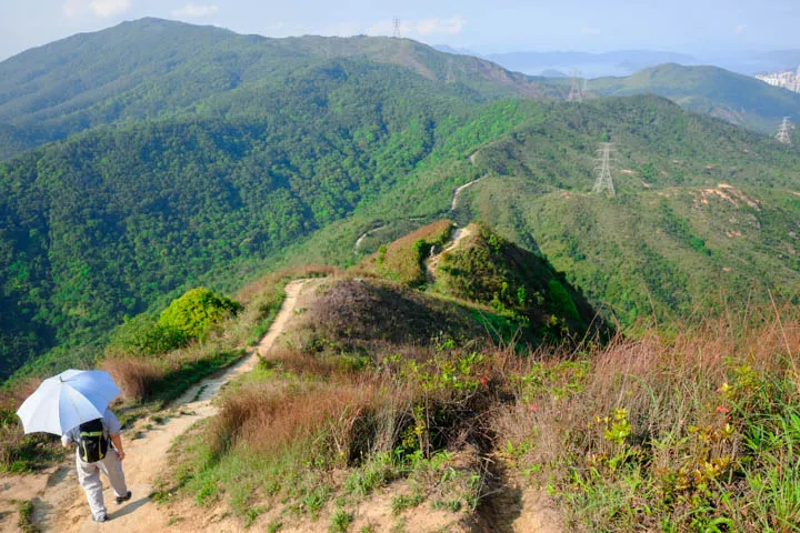 Gradual ridges between Needle Hill and Grassy Hill